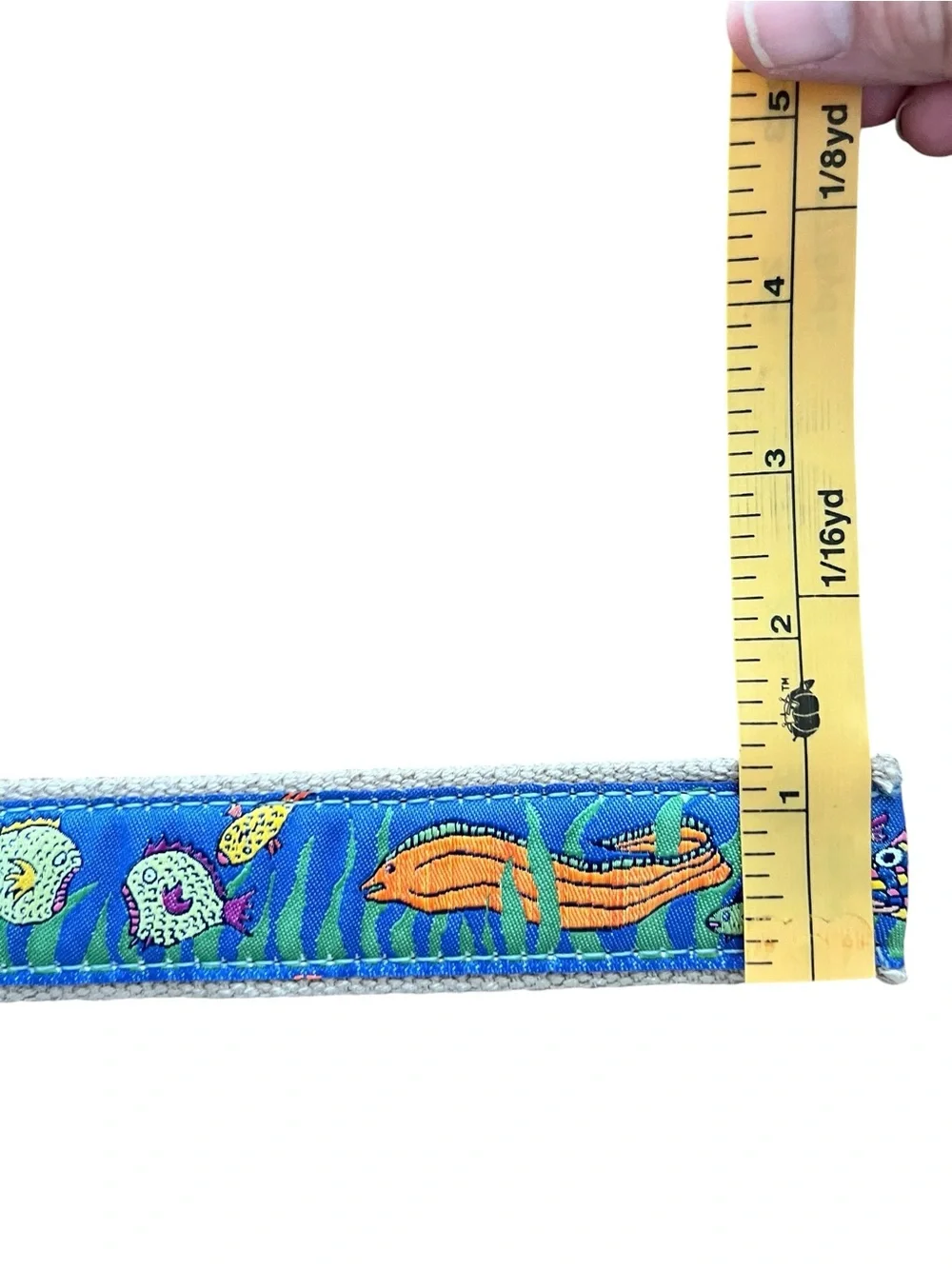 The belted cow this belt